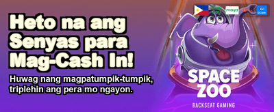 Experience Premium Casino Thrills
